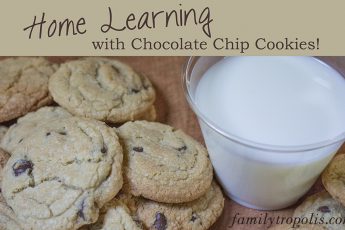 delicious chocolate chip cookies and a glass of milk - homeschool learning