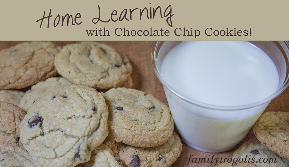 delicious chocolate chip cookies and a glass of milk - homeschool learning