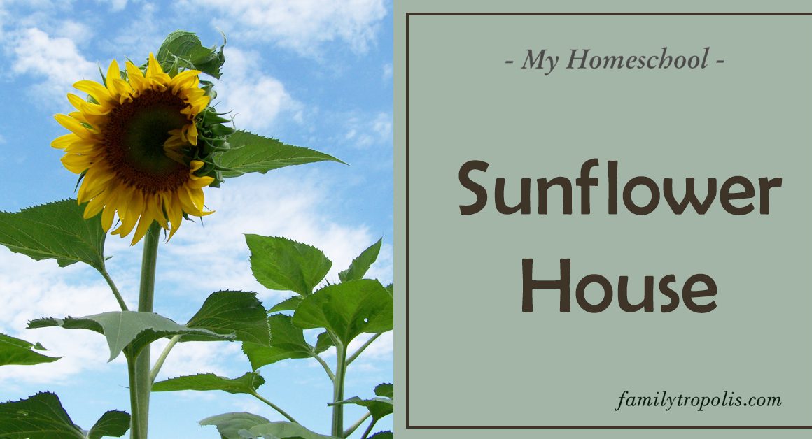 Building a Sunflower House