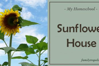 Building a Sunflower House